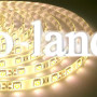 Светодиодная лента B-LED 5050-60 R IP65  теплая белая, герметичная, 1м